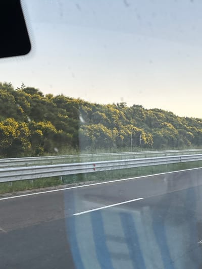 The image shows a view from a car window. On the left is a windshield and a cloudy sky. Outside the car, there is a dense forest. Next to the forest is a set of guardrails, followed by a road. The road surface is gray and shows light, blurry reflections, as though it may be wet. The presence of guardrails and a road lined by trees suggest the location could be outside of a city center, perhaps on the outskirts of Vratitsa, Bulgaria.