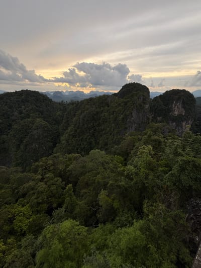 This is a panoramic, eye-level, outdoor, daytime photograph taken from a high vantage point overlooking a dense, tropical jungle landscape. The scene is dominated by lush green foliage covering rolling hills and dramatic, rocky outcrops. In the distance, a hazy mountain range is visible under a cloudy sky. The sky features soft, muted colors, with hints of yellow and orange suggesting either sunrise or sunset. The photograph appears to be taken in or near Ban Khao Tang, Thailand, given the characteristic limestone karst topography and dense vegetation typical of the region. No people or structures are visible in the image.