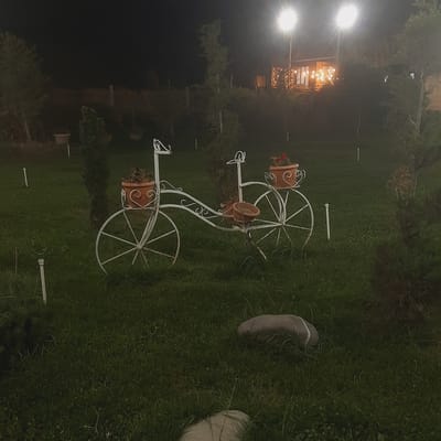The image depicts a nighttime scene in Sosnovka, Kyrgyzstan, featuring a decorative white metal bicycle with flower pots. The bicycle is positioned on a well-maintained grassy lawn. Two terracotta pots are visible on the bicycle, one holding dry plants and the other containing red flowers. In the background, there is a building illuminated by warm lights, and two tall lampposts with bright lights are casting illumination on the area. Trees and bushes surround the lawn, and a fence is visible in the distance. Two large, light-colored stones are also present on the grass. The overall environment appears to be a garden or outdoor recreational area.