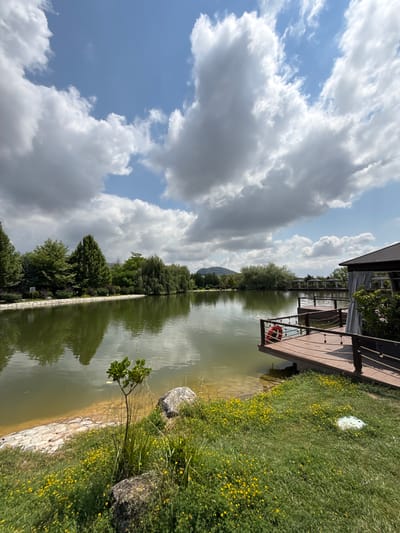 The image depicts a serene lake scene on a partly cloudy day. The foreground features a grassy area dotted with small yellow flowers, leading down to a light-colored stone embankment and the calm, green water of the lake. A small, young tree stands near the water's edge, flanked by two large rocks. To the right, a wooden deck with a railing extends over the water. A red life preserver is attached to the railing. A covered structure with a dark roof and grey curtains is visible on the deck, to the right of the frame. The lake stretches towards the horizon, reflecting the sky and the lush green trees that line its banks. In the distance, more trees and several covered gazebos can be seen. The sky is a mix of blue and white clouds, with some appearing darker and more voluminous than others. The overall impression is one of a tranquil, natural setting with man-made recreational elements. The location is identified as the city of Mirikənd, Azerbaijan.