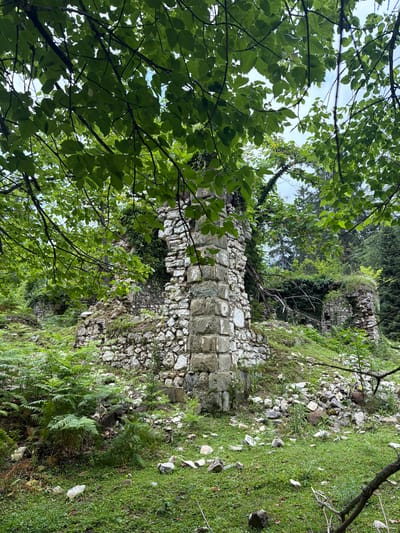 The image depicts overgrown ruins of a stone structure located amidst lush greenery, likely in a forested or park-like setting. In the foreground, vibrant green grass and ferns cover the ground, interspersed with scattered rocks and debris. A prominent stone wall, partially collapsed and covered in ivy, stands in the mid-ground, showcasing weathered blocks and a rustic, ancient appearance. A large, robust stone pillar, also showing signs of age and overgrowth, is a focal point of the ruins. Branches of trees laden with green leaves arch over the scene from the top, filtering sunlight and creating a dappled effect. The background reveals dense foliage and the indistinct forms of more ancient structures, suggesting a historical site that has been reclaimed by nature. The overall impression is one of decay and the persistent presence of nature in a forgotten place. This scene is located in the city of Satsiskvilo, Georgia.