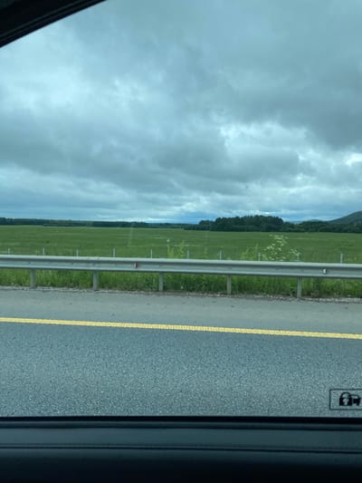 The image captures a view through a car window. In the foreground, a dark car interior borders the bottom and left edges. A gray asphalt road with a yellow lane marking runs horizontally across the lower half of the frame. Beyond the road, a metal guardrail separates it from a vibrant green field. This field stretches into the distance, meeting a dense line of dark green trees that form the horizon. The sky above is overcast with heavy, gray clouds. The location is identified as Alexandrovskoye, Russia. No people or specific actions are visible.
