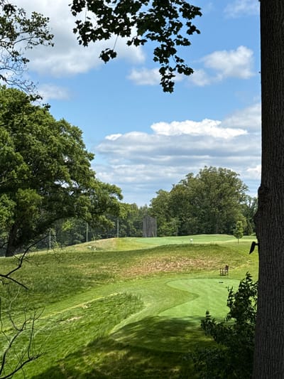 The image shows a view of a green, grassy landscape, likely a golf course or park, partially framed by trees. The sky is visible with white clouds and blue patches. A wooden structure resembling a covered bench is present on the green. The photo is taken from under a tree or structure, as indicated by the dark, textured material at the top edge of the frame. Based on the presence of a golf course, it is highly likely that this location is in or near a park or recreational area in Arlington, United States of America. The photo depicts a natural environment.
