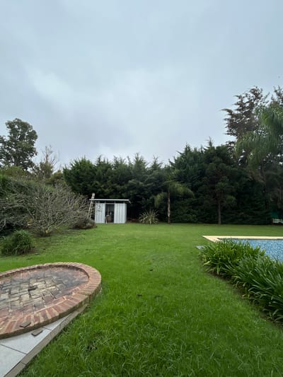 The image depicts an outdoor scene, likely a backyard, in what is presumed to be Hudson, Argentina. The sky is overcast, suggesting a cloudy day. Lush, green grass dominates the foreground and extends into the middle ground. In the right corner of the image is a brick patio or structure, partially visible. A white shed is positioned against a backdrop of dense evergreen trees. To the left of the shed is a leafless bush or tree, adding textural contrast. Adjacent to the grass is what looks like a pool.