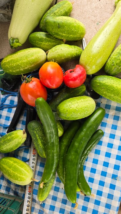 A collection of fresh vegetables, including cucumbers and tomatoes, are arranged on a surface covered with a blue and white checkered cloth. The scene appears to be outdoors, with natural lighting. A tape measure is partially visible, indicating a potential context of measurement or inventory. The vegetables vary in size and ripeness, with some cucumbers having a slightly bumpy texture. In the background, a textured surface, possibly stone or concrete, is visible. The overall impression is that of a harvest or market display.
