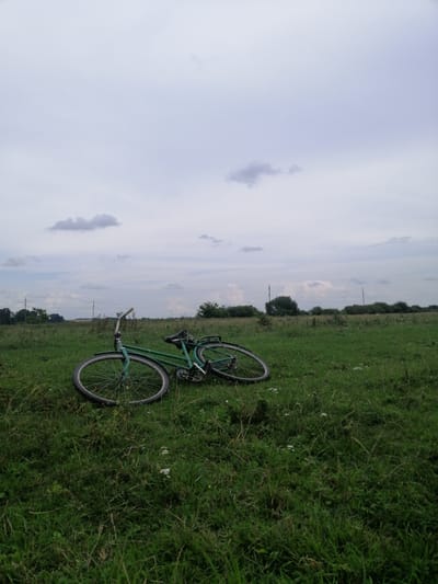 A green bicycle lies on its side in a grassy field under a cloudy sky. The bicycle appears to be an older model with visible spokes and a chain. The field is overgrown with green grass and some scattered white wildflowers. In the background, there are trees and utility poles, suggesting a rural or semi-rural setting. The overall scene is quiet and still, with no people or animals present. The location is identified as Krasnoluka, Ukraine.