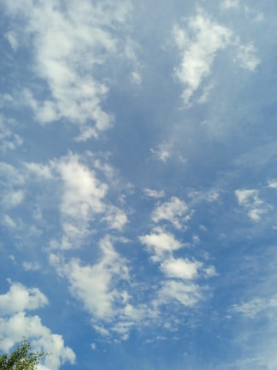 The media file is a vertical, full-frame shot of a bright blue sky filled with scattered white clouds. The clouds are varied in size and shape, ranging from small, wispy streaks to larger, puffier formations. Some clouds appear illuminated from within, suggesting the sun is high in the sky. The overall impression is one of a clear, sunny day. In the bottom left corner, a small portion of lush green foliage is visible, hinting at the presence of trees or other vegetation below. The scene evokes a sense of peace and openness. There is no visible text in the image. Based on the provided location context, this image is likely a view of the sky above Taran-Bazar, Kyrgyzstan.