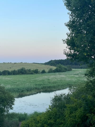 The image captures a serene landscape at dusk, likely in the vicinity of Vaklino, Bulgaria. A wide river flows through a lush, green valley. The water reflects the soft hues of the sky, which transitions from a pale blue at the top to delicate pink and lavender near the horizon. Tall reeds and grasses line the banks of the river, creating a natural, untamed feel. In the background, rolling hills are covered in a mix of grass and scattered trees, leading to a dense forest on the far horizon. The foreground is dominated by the dark, leafy branches of trees, framing the scene and suggesting the vantage point of the photographer. There are no people or specific structures visible in the frame, emphasizing the natural beauty of the location.
