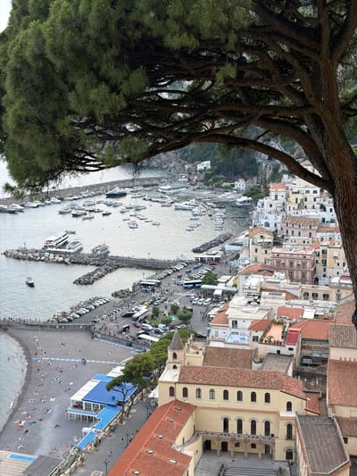 The image depicts a coastal scene in Pogerola, Italy, viewed from an elevated perspective under the branches of a tree. Below, a harbor is filled with boats and separated from a beach by a man-made breakwater. The beach is populated with people, some sunbathing, others walking. Parallel to the beach is a road lined with parked cars and buses. Buildings with red-tiled roofs and light-colored facades line the shoreline.