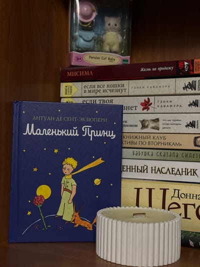 A still life image captured on a wooden shelf displays a collection of books and a decorative candle. The top shelf features a toy cat in packaging, labeled "Persian Cat Baby" with a "3+" rating. Below this, a stack of books is visible. The topmost book in this stack has Cyrillic text, appearing to read "МИСИМА". The following books have titles such as "Если все кошки в мире исчезнут" and "Гзнки Кавамура". To the left, a distinct blue book with gold accents is prominent, its title clearly visible as "Маленький Принц" (The Little Prince) by Антуан де Сент-Экзюпери. The book's cover depicts a stylized illustration of the character from the story, a rose, and a fox. To the right of this book, other books are partially visible, including one with the text "КНИЖНЫЙ КЛУБ" and another appearing to be "Бабушка сказала сидеть". At the bottom right of the image, a white, fluted candle sits on the shelf, its wooden wick exposed. The overall scene is dimly lit, suggesting an indoor environment, possibly a home or a shop in Raivka, Ukraine.