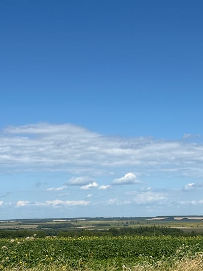 The image shows a bright, clear blue sky dominating the upper portion of the frame. Below the sky, a layer of fluffy white clouds is scattered across the horizon. The midground features a rolling landscape of agricultural fields and patches of trees. In the foreground, a dense field of green crops, possibly soybeans, with small yellow flowers, is visible. Dry grasses and a few white wildflowers are also present at the bottom of the frame. The scene is consistent with an outdoor landscape view in the countryside. The location is identified as Abrykosivka, Ukraine.