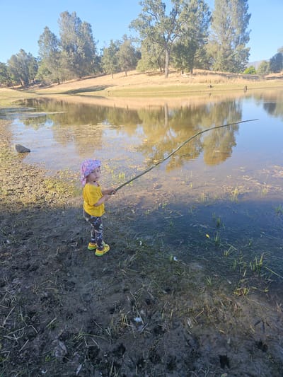A young child, wearing a yellow t-shirt, patterned leggings, and yellow shoes, stands on the muddy bank of a body of water. The child is holding a long stick, resembling a fishing rod. The water appears shallow near the edge, with visible submerged vegetation and debris. In the background, a gently sloping hill covered in dry grass and scattered trees rises, leading up to a clear blue sky. The reflection of the trees and sky is visible on the surface of the water. The location is identified as Bootjack, United States.