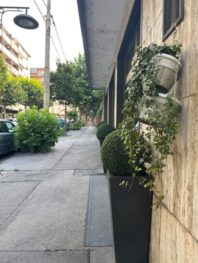 The image depicts a street scene in Trieste, Italy, characterized by an urban sidewalk with a concrete pavement. The sidewalk runs alongside a building with a textured, light-colored stone facade and a dark-framed window. Hanging from the building's wall are two white planters with ivy, one above the other. In front of the building, in large black planters, are two spherical topiaries.
The street is lined with trees and utility poles. A street lamp is visible on a pole in the foreground. In the background, buildings with balconies and windows are visible, suggesting a residential or commercial area. There are also some trash bins and a parked car on the left side of the sidewalk. The lighting suggests it is daytime, likely late afternoon due to the long shadows cast by the trees and buildings. The overall scene is one of a well-maintained urban environment with decorative landscaping elements.
