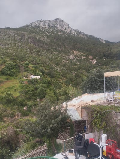 The image captures a landscape scene, likely in the vicinity of Tétouan, Morocco, suggested by the vegetation and mountainscape. The foreground shows a structure with a makeshift roof of what appears to be tarpaulin or similar material, along with stacked black plastic chairs and assorted containers. A bamboo fence or screen is partially covered by vines, adding to the somewhat disorganized appearance of the area.

In the midground, the view opens to a hillside covered in dense greenery, interspersed with trees and shrubs. A single white structure, possibly a building, is visible further up the hill.

The background is dominated by a mountain range, characterized by rocky peaks and slopes covered with trees. The sky is overcast, casting a soft, diffused light across the scene. No people are visible in the frame.