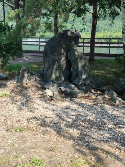 A medium shot captures a man standing next to a large rock formation on a sunny day. The man, wearing a light-colored t-shirt and dark shorts, is partially obscured by the rocks and trees. He appears to be looking out towards a body of water.
The scene is set in a park-like environment with mature trees, including pines and birches, providing shade. The ground is covered with gravel, dirt, and patches of grass. Several smaller rocks are scattered around the base of the large rock formation. In the background, a wooden railing runs along the edge of a body of water, possibly a river or lake. Beyond the water, a dense forest covers the rolling hills.
The sunlight filters through the tree canopy, casting dappled shadows on the rocks and ground. The overall atmosphere is peaceful and natural, suggesting a relaxed outdoor setting. The time of day appears to be late morning or early afternoon, given the angle of the shadows. No visible text is present in the image. The location is identified as Cheremushki, Russia.