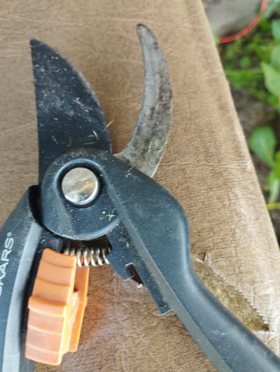 The image shows a close-up of a pair of black and silver Fiskars pruning shears resting on a textured brown surface, possibly leather or vinyl. The shears have a metal pivot and a silver bolt. An orange plastic safety latch is visible on the lower handle, and a coiled spring is positioned between the handles. Small green blades of grass are caught on the metal blades of the shears, suggesting recent use. The background is blurred but shows hints of green foliage and a red object, possibly a hose or rope, on the right side of the frame. The scene is likely outdoors, given the presence of grass and foliage. There are no people or animals visible in the image. This image was likely taken in the city of Ширяево (ильинский), Russia, as per the prompt.