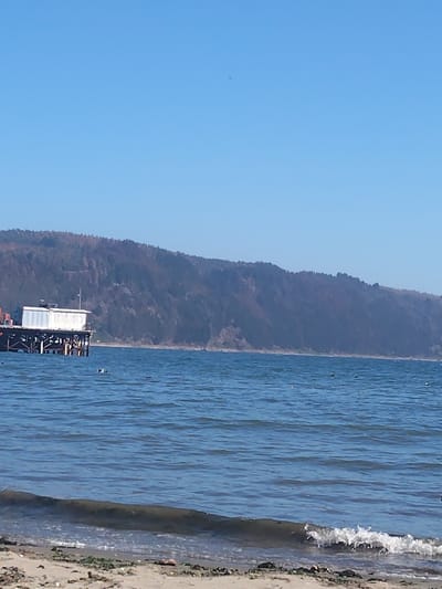 A scenic view of a calm ocean with gentle waves lapping the sandy shoreline. A wooden pier with a white building stands in the water to the left. In the background, a large hill or mountain range covered in trees is visible. The sky is clear and bright blue.