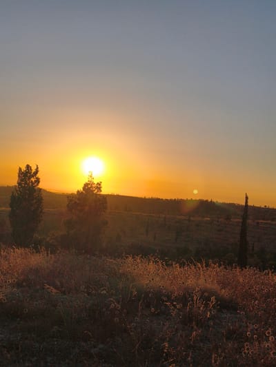 The image depicts a natural landscape at sunset. The sun is a bright, radiant orb positioned in the left half of the sky, casting a warm golden glow. The sky transitions from a pale blue at the top to a deep orange and yellow near the horizon, indicative of a sunset.
In the foreground, a field of dry grass and wildflowers is visible, illuminated by the setting sun. The plants appear golden and brown, with some flowers showing distinct circular seed heads.
Two prominent trees stand in the mid-ground. The tree on the left is darker and appears to be a conifer, with a full, dense canopy. The tree on the right is lighter in color and also appears to be a conifer, though less dense. Beyond these trees, rolling hills are discernible, covered in vegetation and dotted with more trees, including a tall, slender cypress tree on the far right.
A second, smaller sun-like object is visible in the sky above the distant hills, possibly a reflection or atmospheric phenomenon. The overall impression is one of a serene, rural landscape during the golden hour, with the warm light of the setting sun illuminating the scene. The image does not contain any identifiable urban elements or clear indications of a specific location within Be'er-Sheva, Israel, beyond it being an outdoor, natural setting.