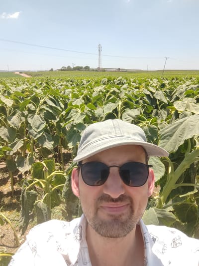 A man wearing a light grey baseball cap and dark sunglasses is taking a selfie in a field of sunflowers under a clear blue sky. He has short brown hair and stubble. He is wearing a white short-sleeved shirt with a pattern of black line drawings. The sunflowers are tall and green with large leaves, and many appear to be wilting or drooping. In the background, a cell phone tower is visible in the distance, along with power lines and some buildings. The terrain appears to be flat agricultural land. The location is the city of Yoav Regional Council, Israel.