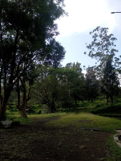 The image shows a natural landscape, possibly in a park or forested area, located in Mya Sit Kaing Ywar Thit, Myanmar. The foreground consists of a dirt and grass path or clearing, with large trees bordering the left side of the frame. Beyond the clearing, the terrain slopes upward in grassy terraces or hills. Various trees of different sizes and types populate the slope. A small wooden structure resembling a shelter or lookout point is visible in the mid-ground. The sky is visible in the upper right corner of the frame, appearing partly cloudy with a hint of blue. A utility pole is seen in the distance. No people or animals are directly visible in the scene.