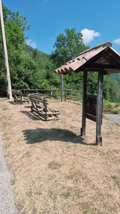 The image depicts an outdoor scene in Molló, Spain, on a bright, sunny day. In the foreground, dry, golden grass covers the ground. Two rustic wooden benches, constructed from logs, are positioned on the grass, facing away from the viewer. To the right, a wooden information kiosk with a tiled roof stands. The kiosk has wooden posts supporting the roof and a wooden sign mounted on its side, with text that appears to be in Spanish. Behind the benches and kiosk, a wooden fence runs horizontally across the mid-ground. Beyond the fence, a dense green forest covers a hillside, which rises towards a clear blue sky dotted with a few white clouds. A utility pole with wires is visible on the left side of the image, and a paved path runs along the left edge.