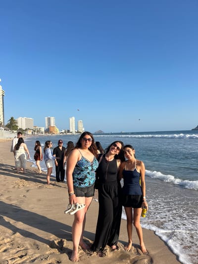 The image, taken on a bright, sunny day in Mazatlán, Mexico, captures a lively scene on a sandy beach. A group of people, predominantly young women, are gathered at the edge of the Pacific Ocean, posing cheerfully for a photograph.
In the foreground, four women stand in a line, smiling towards the camera. The leftmost woman wears a blue and green patterned top with black shorts, holding white sandals. Next to her, a woman in a black jumpsuit sports sunglasses. The third woman wears a navy halter top and black shorts, holding a yellow "PACIFICO" branded beer can. The fourth woman, on the far right, is dressed in a black top and black shorts. Their expressions are joyful and relaxed, reflecting the leisurely atmosphere.
Behind these primary subjects, several other individuals are visible further down the beach or partially in the water. One person wears a black top and a maroon baseball cap featuring an "NY" logo.
The setting consists of a wide, sun-drenched sandy beach with gentle ocean waves lapping at the shore. The water is a clear blue, and the sky above is a vast, cloudless expanse of bright blue, with a small parasailer or kite visible in the distance. Along the coastline, a modern city skyline with numerous tall, light-colored buildings extends into the background, signifying a vibrant coastal resort area. The bright sunlight casts distinct shadows on the sand, indicating it is likely midday or early afternoon.