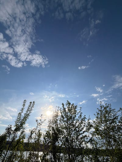 The image captures a view looking up into a blue sky with scattered clouds. In the lower right portion of the frame, tree branches with green leaves are visible, partially obscuring the sun which is shining brightly. The location is identified as Selychka, Russia. There are no people visible in the image. The primary subjects are the sky, clouds, sunlight, and tree branches. No actions or interactions are depicted.