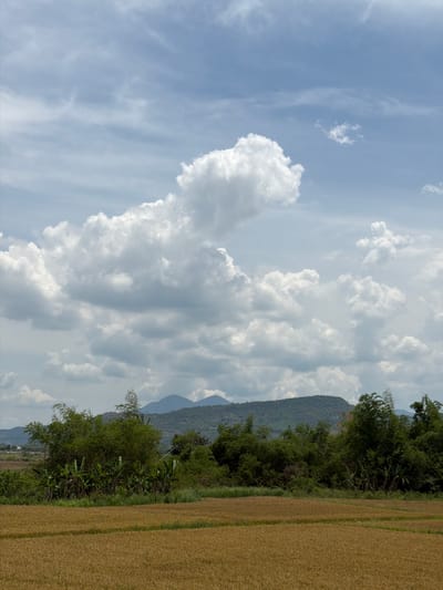 The image depicts a rural landscape in Diên Lạc, Vietnam, on a partly cloudy day. The foreground features a field of golden-brown crops, likely rice, with visible divisions between rows. Behind the field, a dense line of lush green vegetation forms a barrier, including banana trees and bamboo. Further in the background, rolling hills are covered in trees, and several mountains rise in the distance under a pale blue sky dotted with large, white cumulus clouds. A few smaller, wispy clouds are also present. The overall scene is serene and pastoral, with no people or specific structures immediately visible in the central or foreground areas. The light suggests it is daytime, possibly late morning or early afternoon, with diffused sunlight due to the cloud cover.