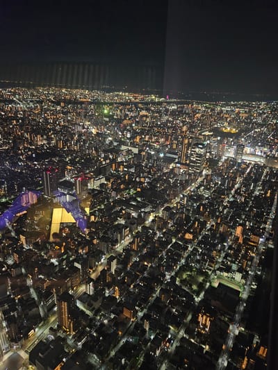 An aerial view of Sumida, Japan, at night shows a dense urban landscape illuminated by countless city lights. The scene is dominated by a network of streets and buildings, interspersed with occasional open spaces. Various light sources, including streetlights, building lights, and vehicle headlights, create a vibrant tapestry of illumination across the cityscape. The environment is characterized by the darkness of night contrasting with the intensity of artificial lighting. No people or specific actions are visible. The scene depicts a static urban environment.
