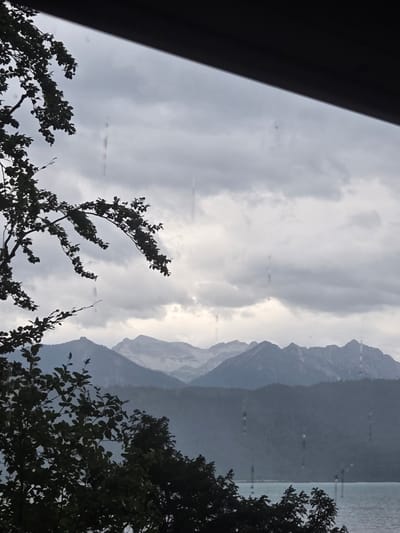 The image depicts a gloomy, overcast day with rain streaks visible on the window through which the scene is viewed. In the foreground, the dark silhouette of a tree with dense foliage partially obscures the view. Beyond the tree, a body of water, likely a lake, is visible. In the background, a range of mountains rises, with their peaks softened by the atmospheric conditions. The lower slopes of the mountains are covered in dark green, likely dense forest. The sky is filled with heavy, grey clouds, suggesting a continuation of the rain. The overall impression is one of a moody, natural landscape, characteristic of the Bavarian Alps region, and the presence of the lake and mountains strongly suggests the location is Kochel am See, Germany, a popular tourist destination known for its scenic beauty and proximity to the Bavarian Alps. There are no people or animals visible in the image.