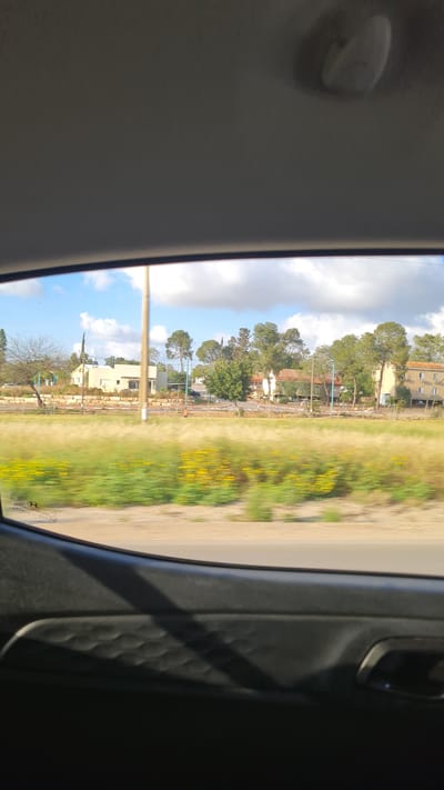 A roadside view from inside a moving vehicle in Bnei Shimon Regional Council, Israel. Outside, a grassy field with yellow wildflowers is adjacent to a residential area with multi-story buildings, trees, and utility poles under a blue and cloudy sky. The view is framed by the car's interior, including the headliner and door panel.