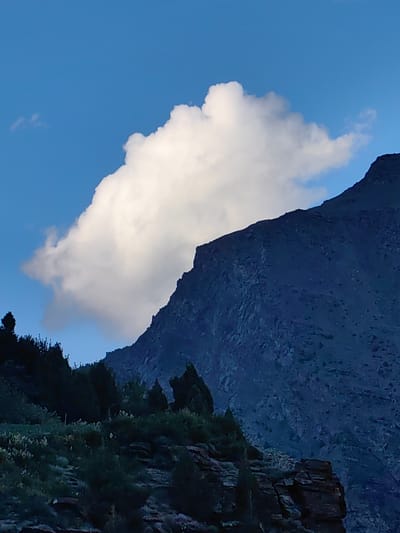 A wide-angle, low-angle shot captures a dramatic mountain landscape under a bright blue sky. A large, fluffy white cloud dominates the upper portion of the frame, partially obscuring the steep, dark gray slope of a rugged mountain. The mountain's surface appears textured with rocks and debris. In the foreground, a dense, dark green forest covers a hillside, with trees of varying heights and thick undergrowth. Some smaller, lighter green plants or flowers are scattered amongst the darker foliage, and rocky outcrops are visible at the bottom of the frame. The overall scene suggests a remote, natural setting. The lighting indicates it is daytime, likely late afternoon given the slight shadow cast by the cloud on the mountain, and the clear blue sky suggests fair weather. There are no people, objects, or visible text in the image.