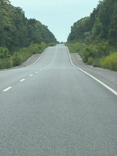 This media file shows a paved road with a white line and dashed white lines marking the lanes. The road curves to the left and appears to be on a slight incline. Lush green trees and vegetation line the left side of the road, with the sky visible above. The scene suggests a rural or natural setting, possibly a highway or country road in a forested area. The lighting and clear sky indicate it is daytime, with fair weather. There is no visible text in the image, and no people or specific objects are present beyond the road and natural landscape. The image is oriented vertically.