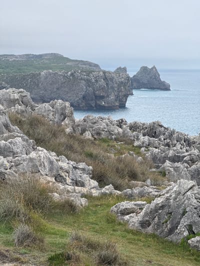 This is a vertical, wide shot of a rocky coastline with the sea on the left. The foreground is dominated by rugged, grey rock formations covered in dry, tall grass. The rocks are jagged and weathered, with crevices and sharp edges. Patches of green grass are interspersed between the rocks, indicating a spring or summer season.

Further into the distance, the rocky coastline continues, with more prominent cliffs jutting out into the sea. The sea itself is a calm, muted blue-grey, reflecting the overcast sky. A few distant rock formations rise from the water. The horizon is indistinct, with the sea blending into a pale, hazy sky, suggesting a cool, possibly misty or overcast day. There is no visible text in the image. The scene evokes a sense of wildness and natural beauty.