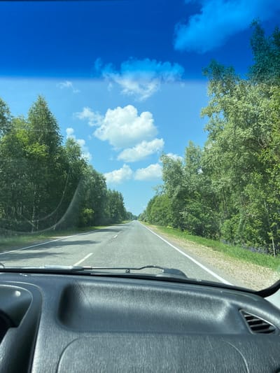 This is a first-person view from inside a vehicle, looking out through the windshield. The vehicle is on a paved, two-lane road that stretches into the distance. The road is lined on both sides by dense green trees. The sky is a vibrant blue with scattered white, fluffy clouds. The foreground shows the dashboard of the vehicle, with a windshield wiper visible across the top of the windshield. The image appears to be taken in a rural or natural setting, possibly a forest or wooded area, in or near Алексеиха, Russia. There are no people or other vehicles visible in the frame. The lighting suggests it is daytime, likely a clear or partly cloudy day.