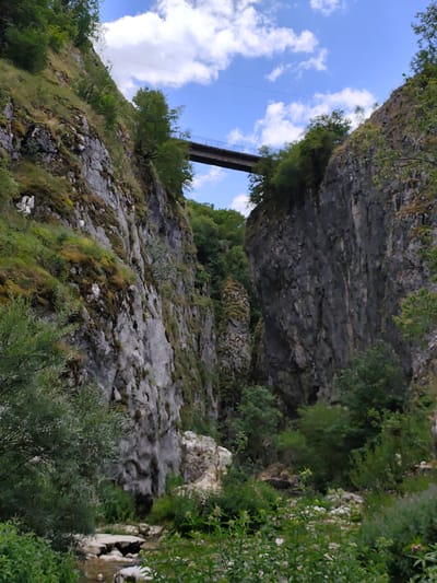 The image depicts a narrow gorge with steep, rocky cliffs on either side. A footbridge spans the gorge high above a small stream or river that flows through the bottom. Lush green vegetation, including trees and bushes, grows on the slopes of the cliffs and along the water's edge. The sky above is blue with scattered white clouds. The scene suggests a natural landscape, likely a park or a scenic natural area. The location, Komarnica, Montenegro, is consistent with a mountainous region. There are no people or animals visible in the image.