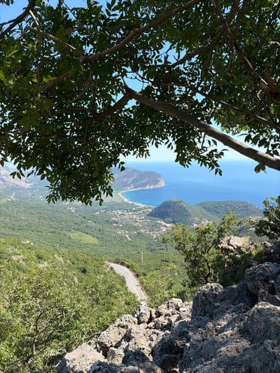 This is a high-angle, full-shot photograph taken from a rocky, vegetated overlook, looking down towards a coastal landscape. The foreground is dominated by large, grey rocks and dense green foliage from trees and shrubs. A winding paved road with white markings is visible descending a green, hilly slope in the mid-ground. Beyond the hills, a body of blue water, presumably the Adriatic Sea, stretches to the horizon. A sandy beach curves along the coastline, with a small town nestled between the hills and the water. In the distance, several peninsulas and islands are visible. The sky is clear and blue. The scene is located near Novoselje, Montenegro, offering a panoramic view of the coastal scenery and the surrounding terrain.
