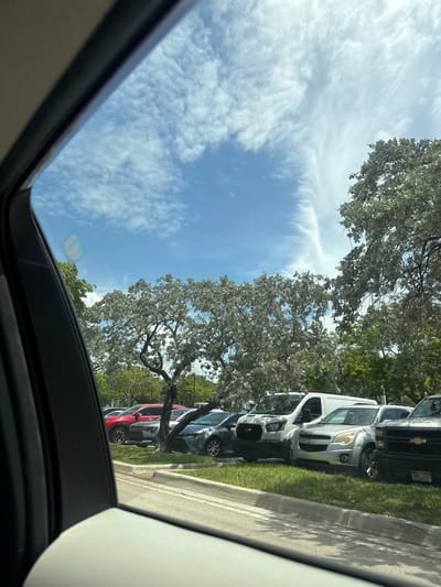 The image shows a parking lot in Aventura, Florida, United States of America, as viewed from inside a car. Several cars, including a red SUV, a silver SUV, a white van, and a black pickup truck, are parked on a grassy area next to a curb. Large trees with green and white foliage line the parking lot. The sky is blue with scattered white clouds, suggesting it is daytime. The interior of the car, including the dashboard and a window frame, is visible in the foreground.