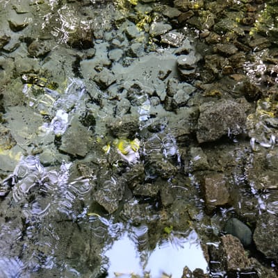 The image shows a close-up view of a shallow, clear body of water with rocks and pebbles on the bottom. The water is rippled, creating distorted reflections of the sky and surrounding environment. Sunlight shimmers on the surface, adding highlights to the scene. The rocks vary in size and color, with some appearing smoother and lighter, while others are rougher and darker. There are hints of yellow and green submerged vegetation in the water, adding touches of color to the otherwise muted tones of the rocks. The overall impression is one of natural tranquility and the interplay of light and water. There are no people, visible text, or specific indications of time of day or weather beyond what can be inferred from the lighting. The location context of Sdt Shcherbakovka, Russia, suggests a natural outdoor setting.