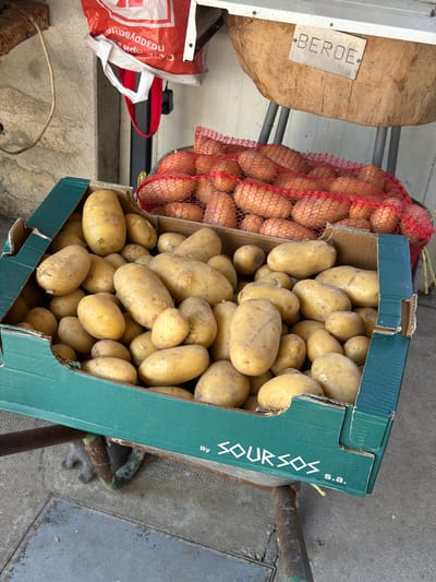 In Mogila, Bulgaria, a green cardboard box overflowing with potatoes rests on a metal cart. Behind the box, a red net bag also contains potatoes. A sign reading "BEROE" is affixed to a wooden structure. The ground is concrete, and a grey cat is partially visible beneath the cart. A red plastic bag hangs from a metallic pole.