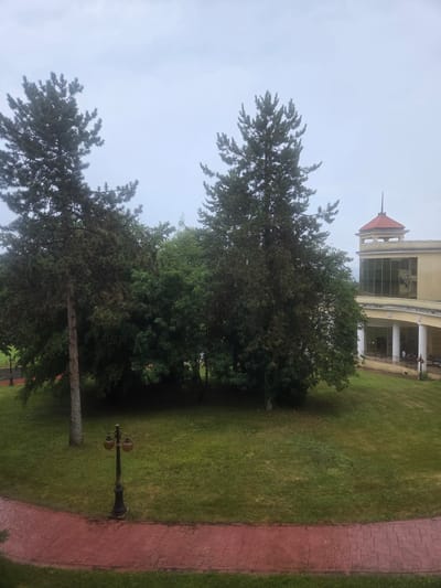 In the city of Dyuni, Bulgaria, on a cloudy day, the scene is captured from a slightly elevated perspective, looking over a verdant lawn. Two tall pine trees dominate the left side of the frame, their dark green needles contrasting with the overcast sky. To the right, a pale yellow building with a curved facade is visible. This structure features a distinctive red-tiled roof with a small tower and large, reflective glass windows. A covered walkway with white columns extends from the building. In the foreground, a red brick pathway curves through the lawn, and a vintage-style black lamppost with two amber glass globes stands near it. The grass is well-maintained, with some areas appearing slightly drier than others. In the distance, other trees and foliage suggest a park-like or resort setting. There are no people clearly visible in the immediate foreground, but the crops suggest some figures may be present under the building's covered walkway.