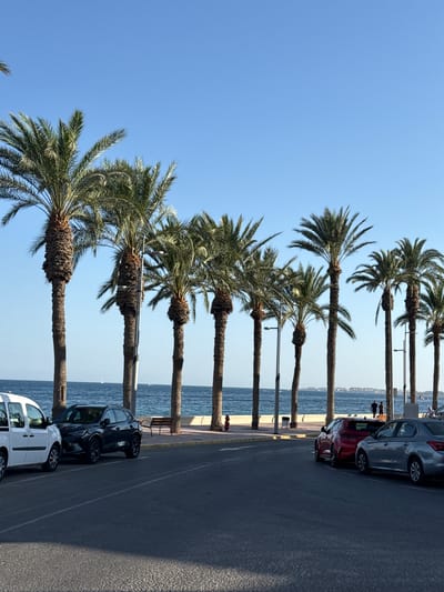 The image depicts a scene in Aguadulce, Spain, featuring a waterfront promenade lined with palm trees and parked cars. The foreground shows a paved road with several vehicles, including a white van, a black SUV, a red car, and a silver car. Beyond the road, a sidewalk area is visible with more palm trees, streetlights, and a park bench. The background consists of the calm blue sea, with a faint shoreline and buildings visible in the distance. Two individuals are walking along the promenade, silhouetted against the water. The sky is clear and blue, indicating fair weather. The overall impression is a serene coastal environment with urban amenities.