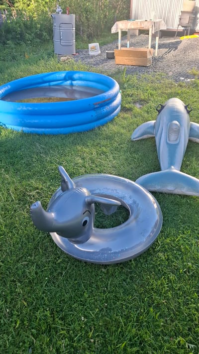 In the city of Novovilgovskoye Sel'skoye Poseleniye, Russia, a grass-covered yard is presented. An inflatable blue swimming pool is located on the left side of the frame. To the right of the pool, a grey inflatable elephant ring is on the grass, and further to the right, an inflatable shark is positioned. In the background, a grey barrel with a spigot is visible, alongside a small wooden table covered with a white cloth. The ground is a mix of gravel and grass, with some foliage and wooden structures in the distance.
