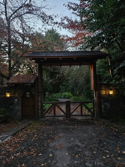 The image depicts a wooded gate entrance in Villarrica, Chile. The gate, constructed of wood and stone, is flanked by trees with autumn foliage. Fallen leaves are scattered on the ground. The wooden gate is a double door design, slightly ajar, revealing a path leading into a forest. Stone walls with mounted light fixtures bookend the gate. The path ahead is green. The sky is overcast.