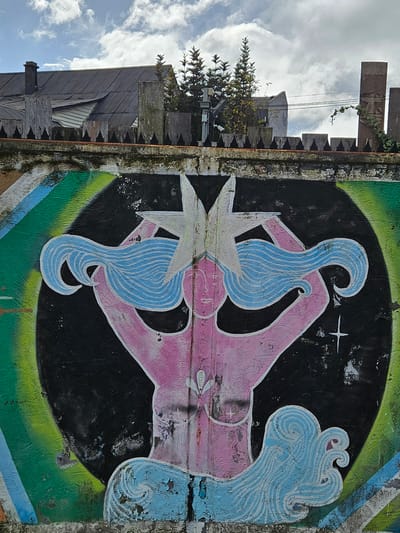 The image is of a colorful mural on a wall in Osorno, Chile. The mural features a pink figure with light blue, wavy hair. The figure appears to be holding a large white star. The background of the mural is primarily black, with a green and blue arc surrounding the figure. A small white star is visible in the upper part of the black background.
The mural is painted on a weathered wall with visible signs of age and damage. Parts of the wall's surface are peeling or chipped.
In the background, outside of the immediate mural, is a building with a metal roof, a chimney, and some vegetation. The sky is visible behind the building and is partly cloudy. A utility pole is also visible.
