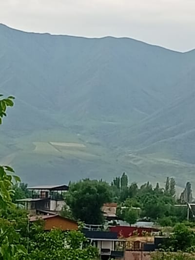 This is a daytime, outdoor, wide shot capturing a village nestled in a valley with mountains in the background. The sky is overcast and grey. The mountains are large, green, and their slopes are textured with light and shadow, suggesting a gradual incline. In the mid-ground, there are fields with visible lines, possibly agricultural plots. The foreground features a collection of buildings and trees. The buildings appear to be a mix of residential structures, with several visible rooftops in various colors, including orange and red. They are surrounded by lush green trees, creating a dense foliage. The overall impression is of a rural setting, likely a village in a mountainous region.
