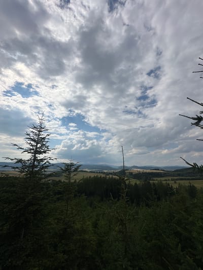 The image captures a vast landscape viewed from an elevated position, likely a hill or a viewing tower, in the vicinity of Chełmsko Śląskie, Poland. The foreground is dominated by dense, dark green coniferous trees, with two prominent fir trees framing the left side of the composition. Their branches extend upwards, partially obscuring the sky.
The middle ground features a rolling terrain covered in a mix of dense forests and lighter green fields or meadows. The trees in this area appear less dense than those in the foreground, allowing glimpses of cultivated land or open spaces. A winding road or a path might be subtly visible, cutting through the landscape.
The background consists of a series of rolling hills or low mountains, fading into a hazy blue horizon. The farthest hills are indistinct and blend with the atmospheric conditions.
The sky is a dramatic canvas of clouds. Large, heavy, grey clouds with white edges are interspersed with patches of bright blue sky. The sunlight struggles to break through the cloud cover, creating areas of shadow and light across the landscape. The overall mood is one of natural beauty and expansive scenery, with a hint of a slightly overcast or dramatic sky. There are no people or man-made structures explicitly visible in the image.