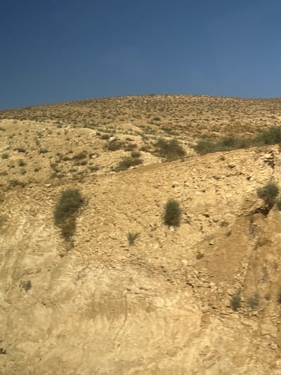 This is a vertically oriented, low-angle photograph of a rocky, arid landscape. The left side of the image is dominated by a clear, deep blue sky, suggesting a bright, sunny day. The right side of the image features a steep, textured cliff face composed of dry, light brown soil and small rocks. Sparse green vegetation is visible clinging to the cliff in scattered patches. The surface of the cliff is uneven, with visible indentations and eroded sections, casting shadows that add depth and dimension. The overall impression is one of a natural, remote, and dry environment. There is no text visible in the image, nor are there any people or man-made objects. The lighting and clear sky indicate it is likely daytime.