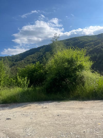 This image depicts a scenic view of a mountainous landscape near the city of Taran, Bulgaria. The foreground is dominated by a rough, gravelly dirt road, with scattered stones and debris. To the right of the road, tall green grass and dense shrubbery grow, with some small pink flowers visible. Beyond the vegetation, a lush, green mountainside rises, covered in dense trees and foliage. The sky above is a clear blue, punctuated by fluffy white clouds, with power lines stretching horizontally across the frame. The lighting suggests it is daytime, likely late morning or early afternoon, with the sun casting shadows on the road.