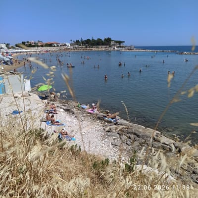 The image depicts a crowded beach scene in Trani, Italy, on June 22, 2026, at 11:38 AM. The beach is characterized by a mixture of sand and rocks. Numerous people are engaged in various beach activities, including sunbathing on towels and loungers, swimming and wading in the clear blue water, and standing in the shallow areas of the sea. Several umbrellas and lounge chairs are set up on the beach, indicating a popular recreational spot. In the background, buildings and greenery are visible, suggesting a coastal town or resort. The foreground is partially obscured by dried grass, adding a natural element to the scene. The overall atmosphere is one of a lively summer day at the beach.